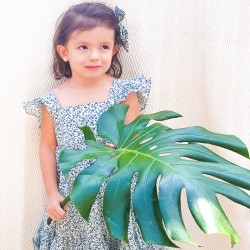 Blue Dalia