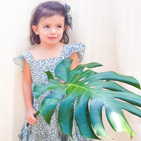 Blue Dalia